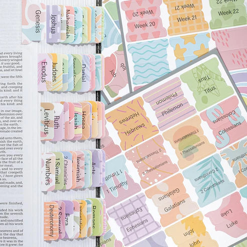 Bible Tabs, 120 Count, Laminated, Easy Apply, Old & New Testament, Includes 30 Customizable Blank Tabs
